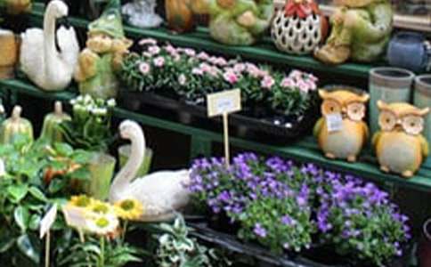 ����V���Z15ƪ