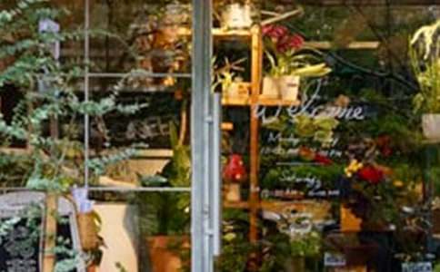 花店創(chuàng)業(yè)計(jì)劃書(shū)