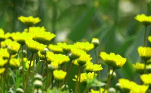 �ֹ�������������