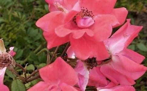 �_�����еĻ�������15ƪ