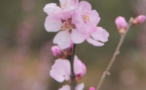 �_(k��i)��ӛ����Ļ�������