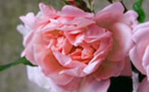 �������Ҿӵ��b�