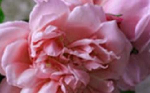 �_�����еĻ�������9ƪ