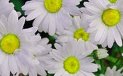 �_(k��i)��ӛ����̎�Ļ���