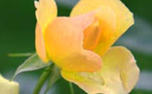 �_��ӛ����̎�Ļ������ă�(y��u)�x��15ƪ��