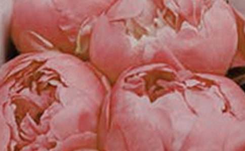 �_��ӛ����̎�Ļ�������11ƪ