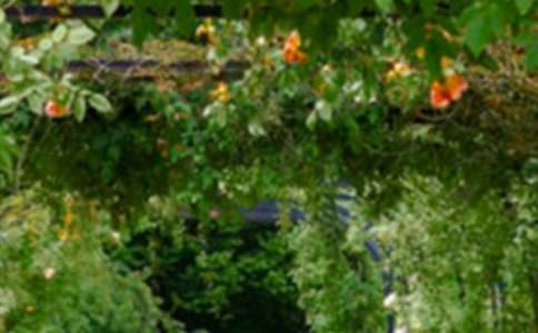 ���˵Ļ��@�u�n�壨�؂䣩