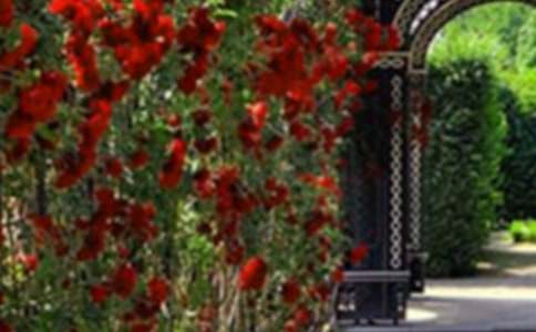 �����˵Ļ��@���u(p��ng)�n�徫Ʒ[28ƪ]