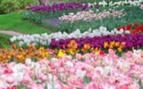 《巨人的花園》教學設計優(yōu)秀15篇