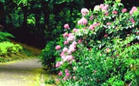 ���@�����o(j��)�Ѿ��o���᣿