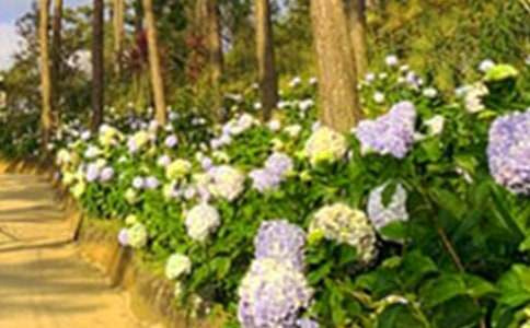 �����˵Ļ��@���̌W�OӋ[��(y��u)��15ƪ]