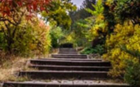 �x�����˵Ļ��@���x���Ҫ��ô��(xi��)