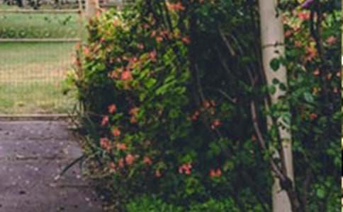 ���˵Ļ��@�̌W(xu��)�O(sh��)Ӌ(j��)