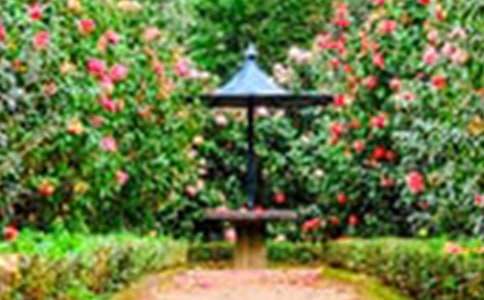 ��ͨ�á������˵Ļ��@���u(p��ng)�n��