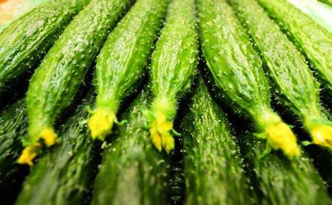 ��֭�͗l���S�������Ͳ��E