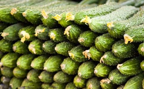 �͗l���S�ϵ�����