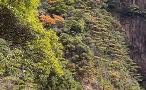 黃山奇石教學(xué)設(shè)計(jì)