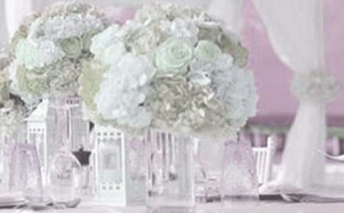 ���[�Ļ�Y����