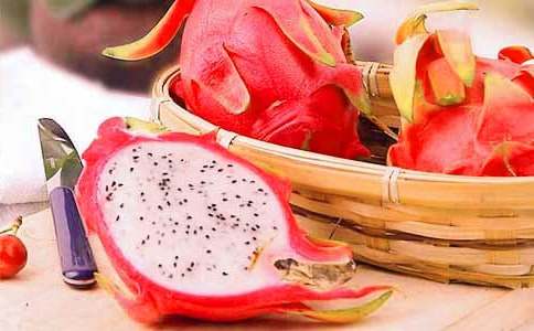 �����������x����