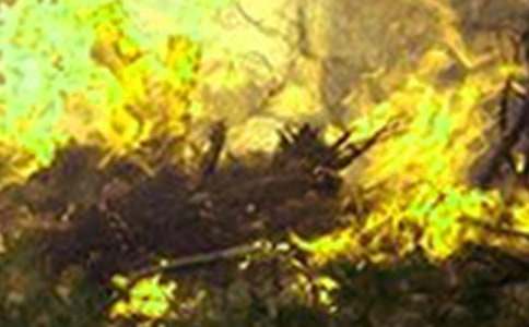 鄉(xiāng)鎮(zhèn)森林火災整改落實情況匯報范文(通用18篇)