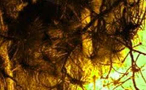 ���(z��i)����������r�R��