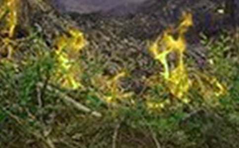 大學(xué)寢室火災(zāi)通告