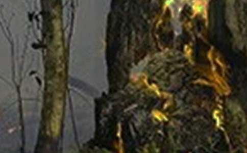 �k���ǻ��(z��i)������(y��ng)���A(y��)��