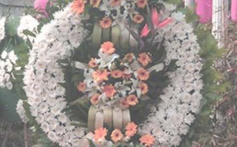 祭奠革命先烈的寄語(yǔ)