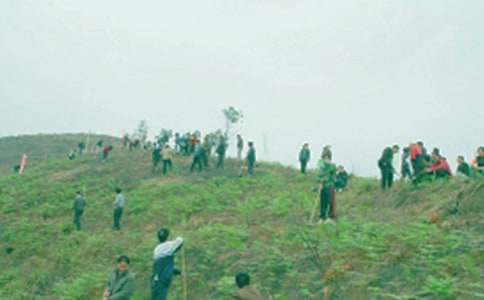 ����İl�Ը巶��