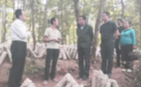 紀(jì)檢部期末總結(jié)