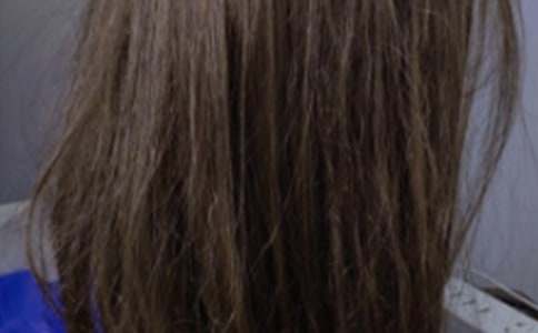 2013��ٰl���� ǰ�������˼ٰl�l��