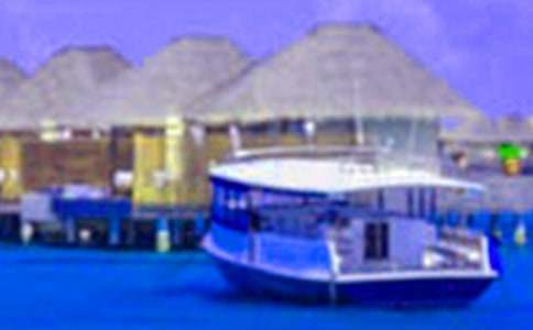 請問2010年假期安排表哪兒有