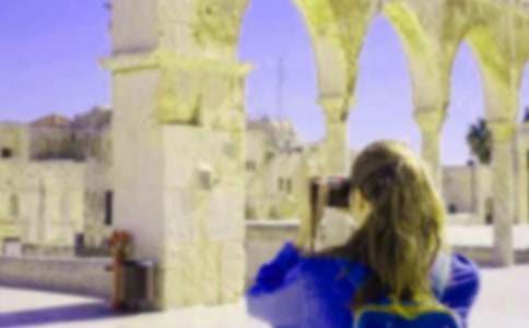 《莫莉的假期》讀后感(優(yōu)秀)