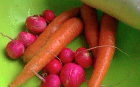 小學(xué)五年級心理健康班會(huì)教案