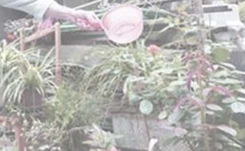 �����ČW������