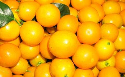 小金桔葉子發(fā)黃怎么辦