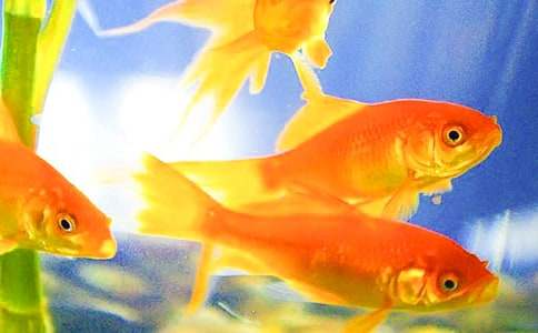 ���~�^������(���x15ƪ)