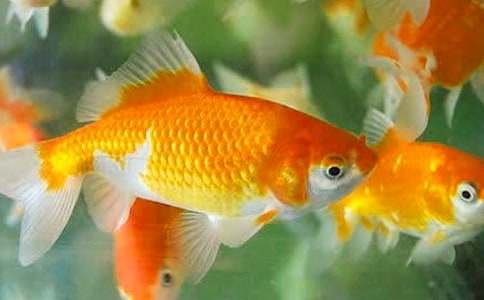 �^����~(y��)����