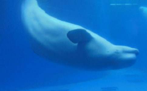 �L�~����������