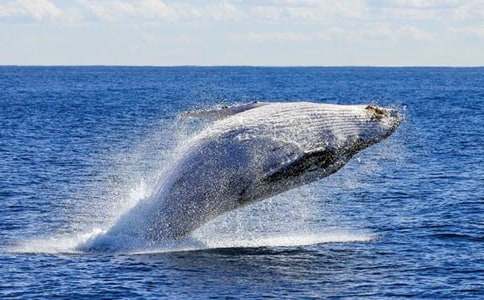 �L�~��ʲô�������-�L�~��ʲô�����M����