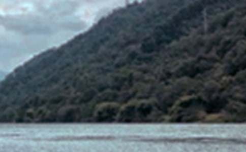 �@��ľ�ɫ��������