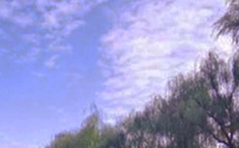 ���վ�ɫ��̎������