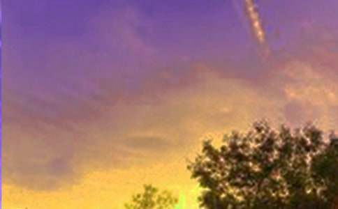 ����ľ�ɫ����