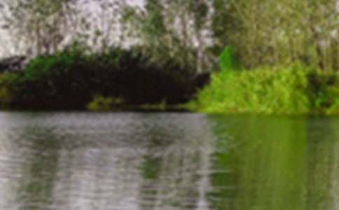 �ļ���ɫ����