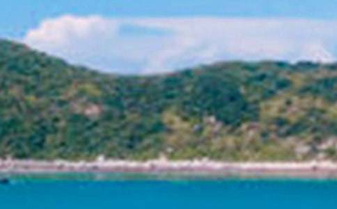 �l�徰ɫ����15ƪ