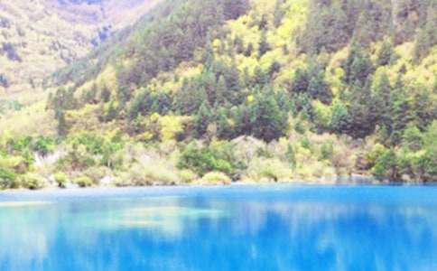 九寨溝作文集錦15篇