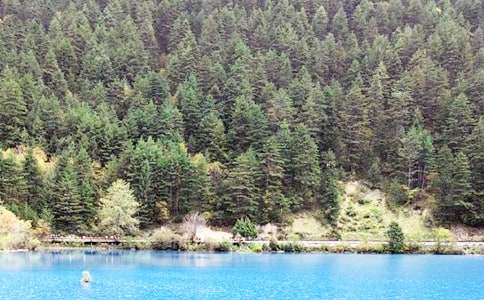 ��կ������15ƪ