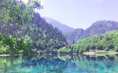 美麗的九寨溝作文