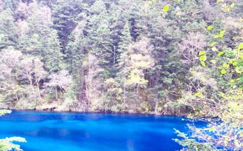 3月份去九寨溝的旅游自助攻略