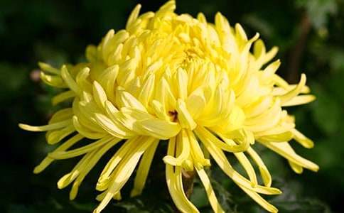 Ұ�ջ����ļ��\15ƪ